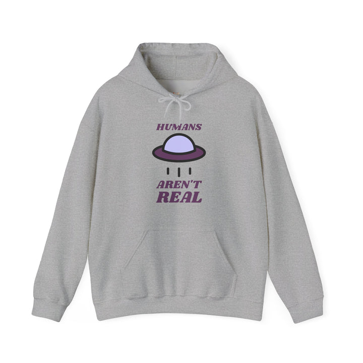 Alien Aren't Real Hoodie | Sport Grey